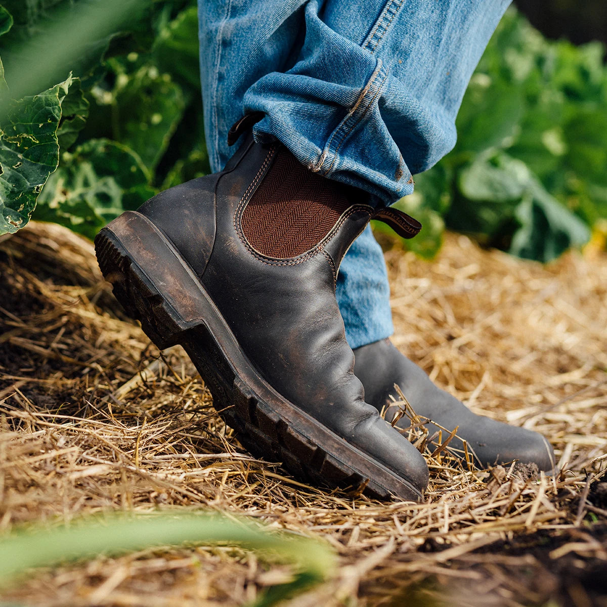 Blundstone top pro deal
